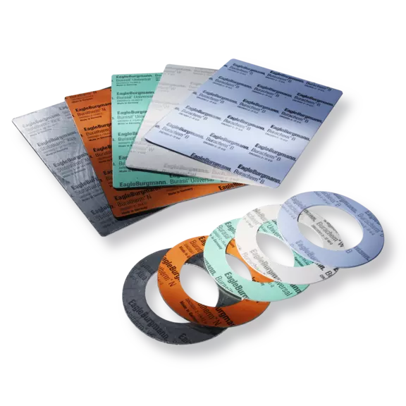 Packings & Gaskets